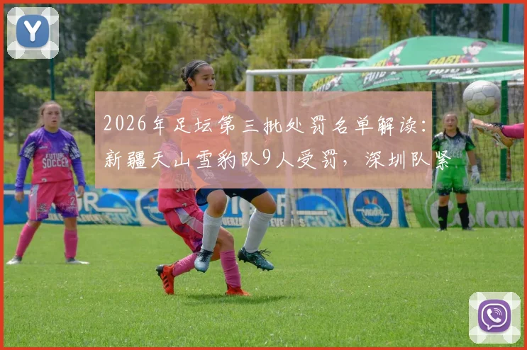2026年足坛第三批处罚名单解读：新疆天山雪豹队9人受罚，深圳队紧随其后