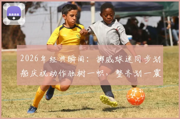 2026年经典瞬间：挪威球迷同步划船庆祝动作独树一帜，整齐划一震撼全场