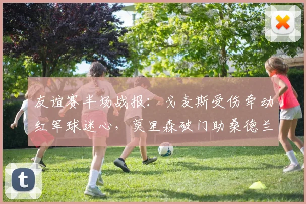 友谊赛半场战报:戈麦斯受伤牵动红军球迷心,莫里森破门助桑德兰1-1逼平利物浦(2026)